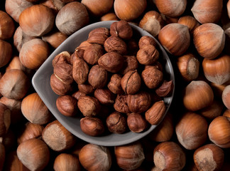 Hazelnuts crop