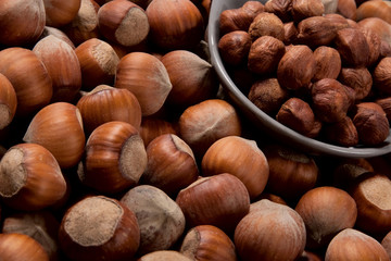Hazelnuts crop