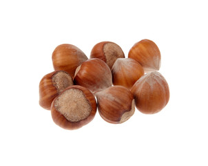 Hazelnuts macro