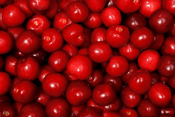 Sweet cherries crop