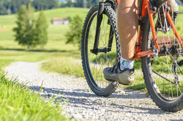 Fototapeta premium Mountainbiken