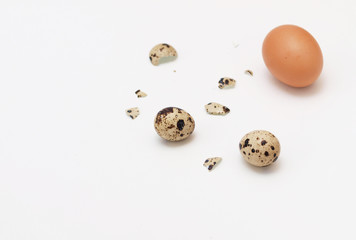 Quail and hen eggs