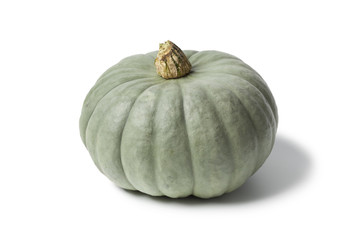 Grey pumpkin named Confection
