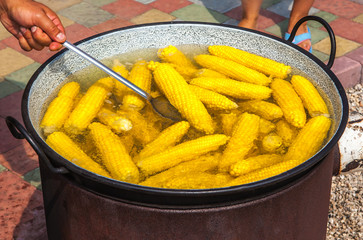 fresh corn in boiling water at market