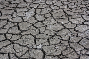 dry ground