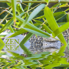 zen bambou et galets
