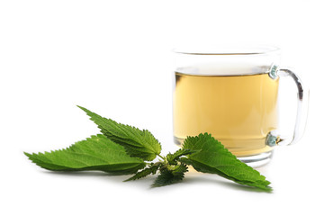 Nettle tea
