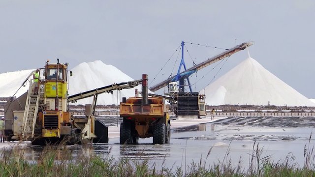 salterns