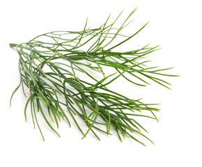 dill bunch isolated on white
