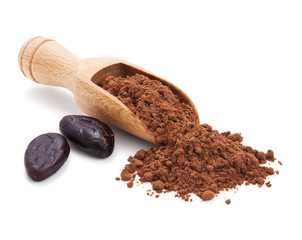 cacao beans and cacao powder isolated on white