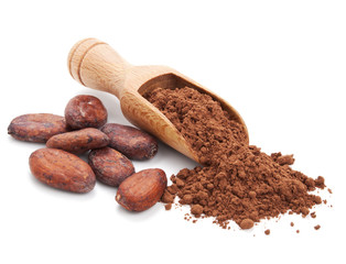 cacao beans and cacao powder isolated on white