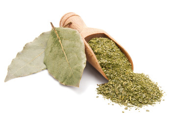 bay leaf isolated on white