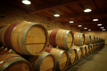 Winemakers in cellar using electronic tablet