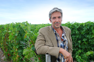 Winemaker standing in vineyard on harvesting season