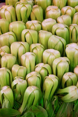 Pak Choi - Vegetable market