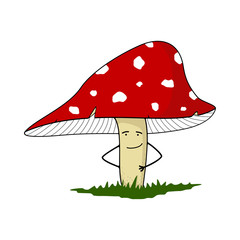Amanita mushroom (color)