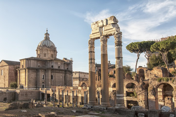 Fototapeta na wymiar Roman Forum,Rome