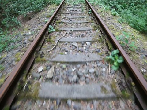 Draisinenfahrt auf einer stillgelegten Eisenbahnstrecke bei Lengenfeld unterm Stein / Th&uuml;ringen