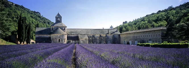 Fotobehang abbaye de senanque © X. BEGUET- Panorama 