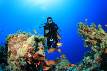 Scuba Diver explores coral reef