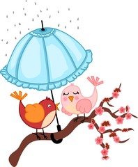 Birds lovers to rain