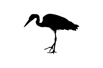 A silhouette of a heron