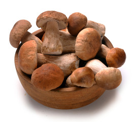 cep mushrooms in a basket