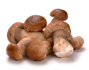 ceps mushrooms