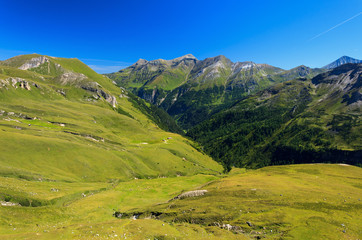 Fototapeta na wymiar Green meadow in alpine valley, Austria