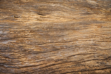 Structure of old wood