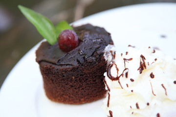 chocolate cake on wood background