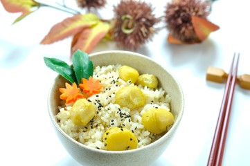 食欲の秋(栗ご飯)