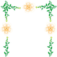 Flower of frame on white background
