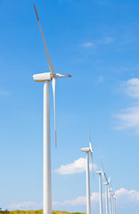 Fototapeta na wymiar Wind farm