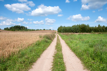 Fototapeta na wymiar droga przez pola
