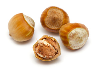 hazelnut close up