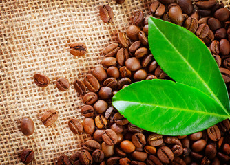 Obraz premium Coffee