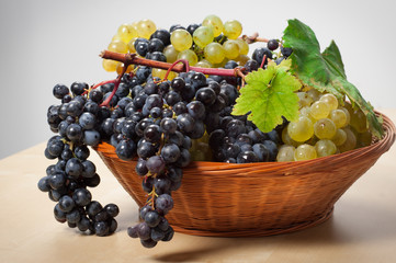 Grapes in the basket _ uva nera e bianca nel cestino