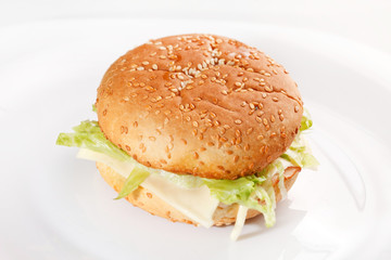 burger on the white