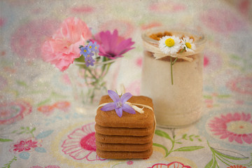 panna cotta aux speculoos