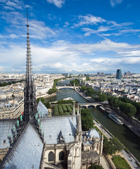 Aerial view of Paris from the towers of Notre Dame