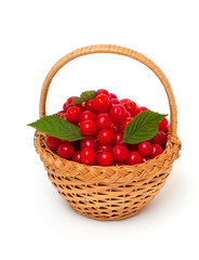 basket with nanking cherry