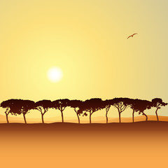 A Line of Trees in Silhouette with Sunset, Sunrise