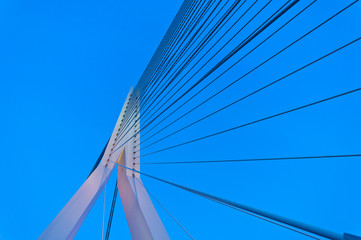 Puente Erasmus en Rotterdam