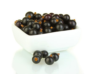 Fresh black currant in white bowl isolated on white