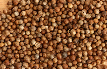 Heap coriander seeds close-up