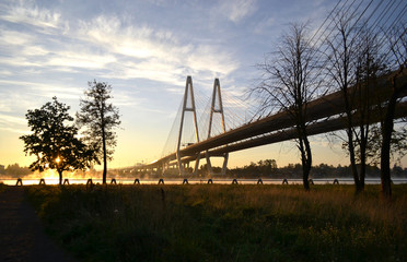 Cable-braced bridge across the river Neva