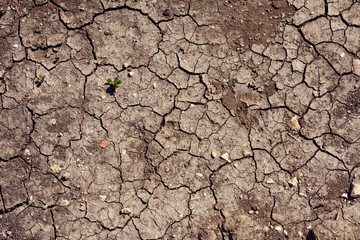 texture, cracked earth