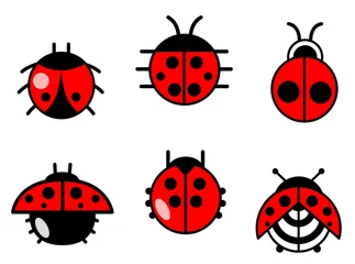 Foto op Plexiglas Lieveheersbeestjes en kevers pictogrammen instellen © Buch&Bee