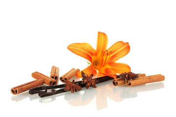 Vanilla pods with spices isolated on white